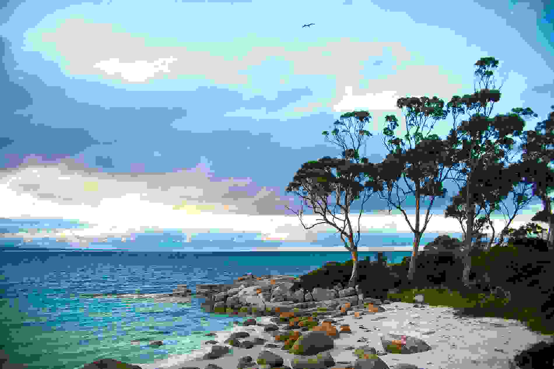 How To Get To Tasmania